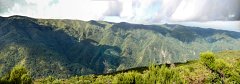 Panos Madeira-14 (12)